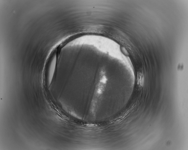 X0000097920388200804111145