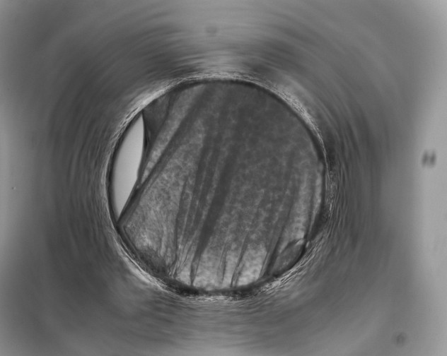 X0000097920389200804111145