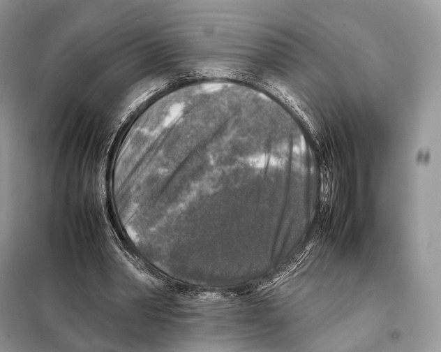 X0000097920390200804111145