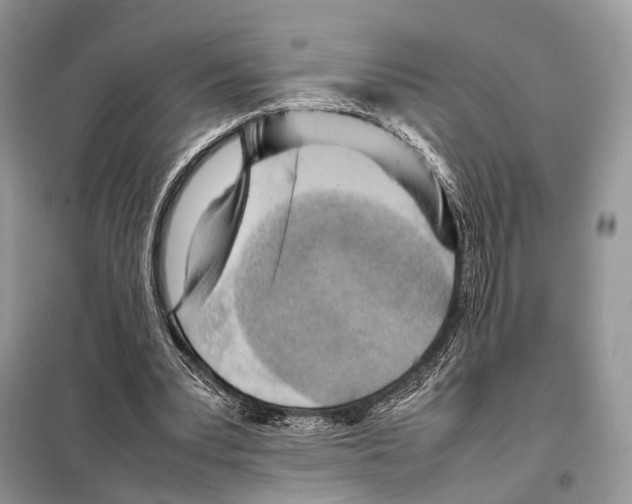 X0000097920391200804111145