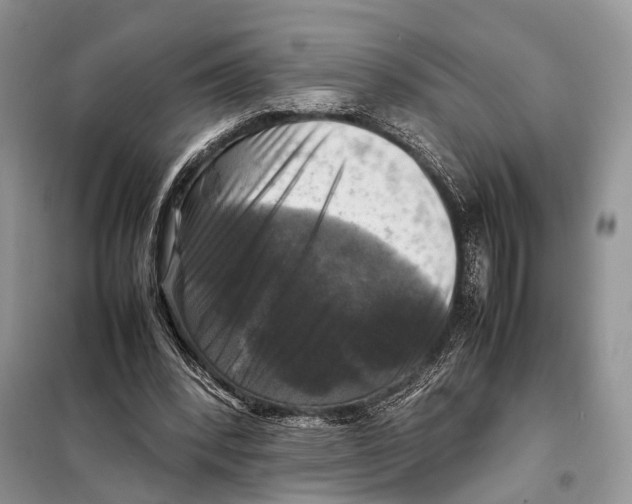 X0000097920392200804111145