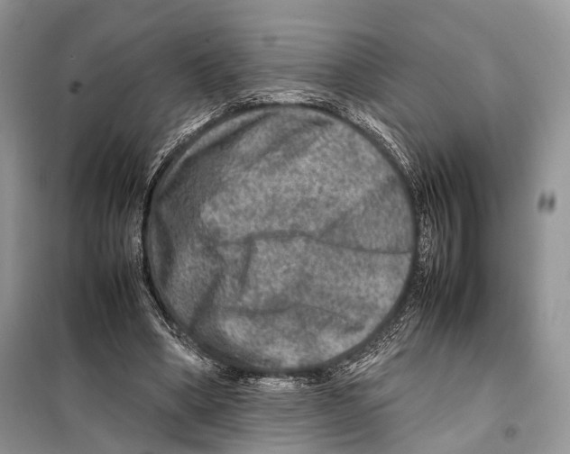 X0000097920394200804111145