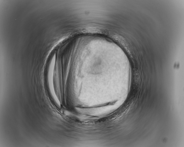 X0000097920395200804111145