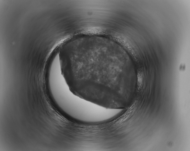 X0000097920396200804111145