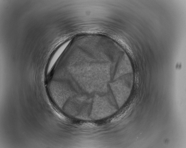 X0000097920397200804111145