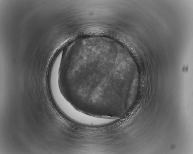 X0000097920399200804111145