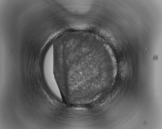 X0000097920400200804111145