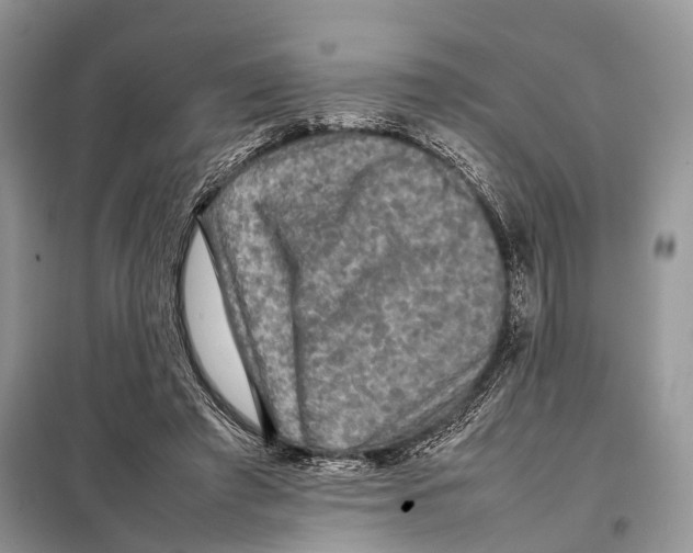 X0000097920401200804111145