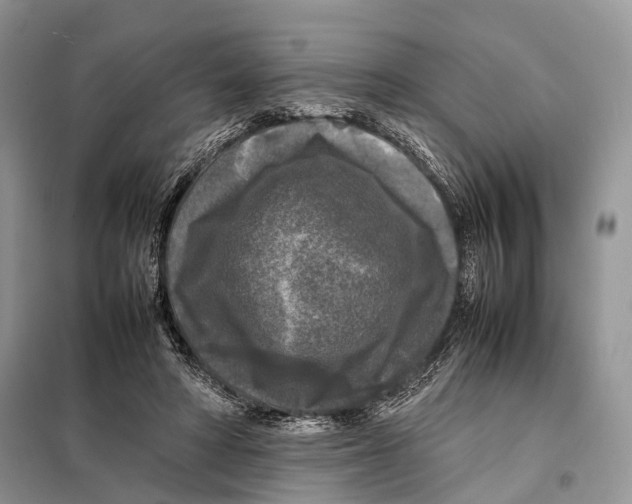 X0000097920402200804111145