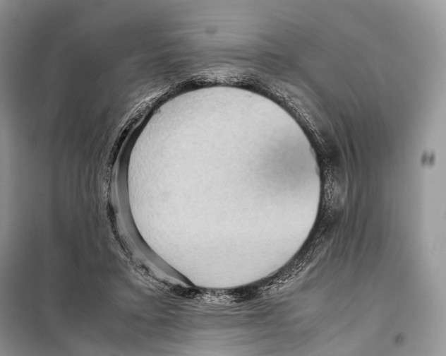 X0000097920403200804111145