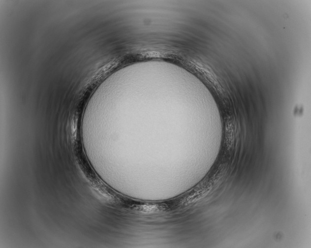 X0000097920406200804111145