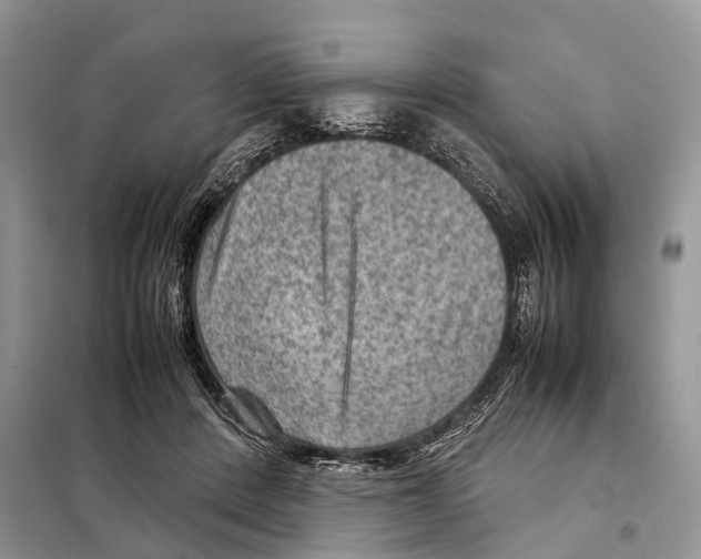 X0000097920408200804111145