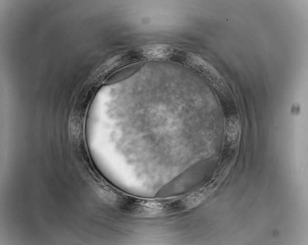 X0000097920409200804111145