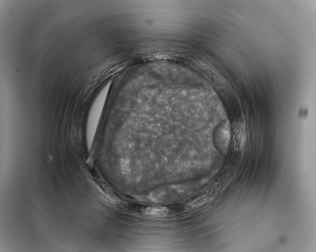 X0000097920410200804111145