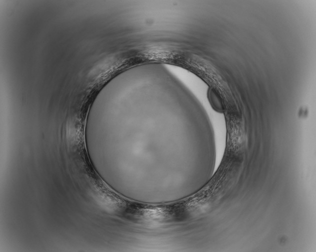 X0000097920411200804111145