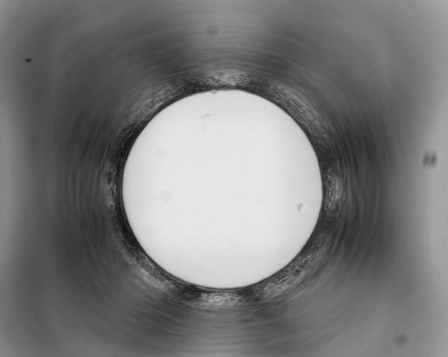 X0000097920414200804111145