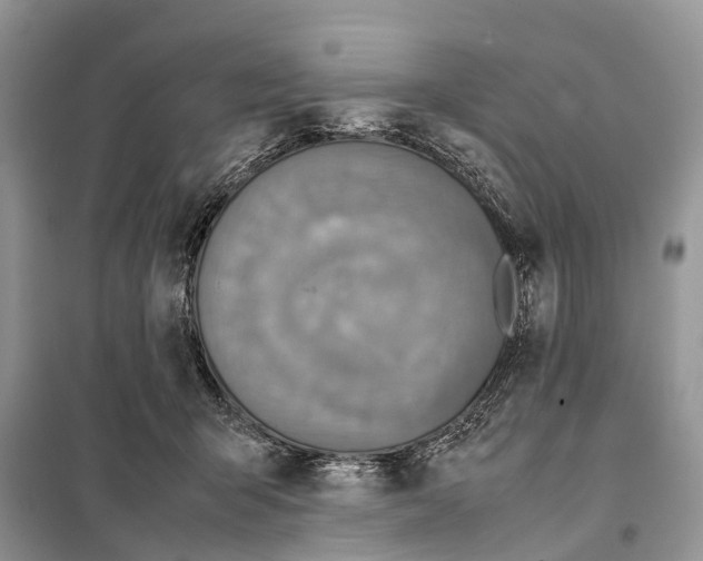 X0000097920415200804111145