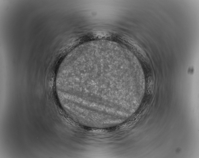 X0000097920417200804111145