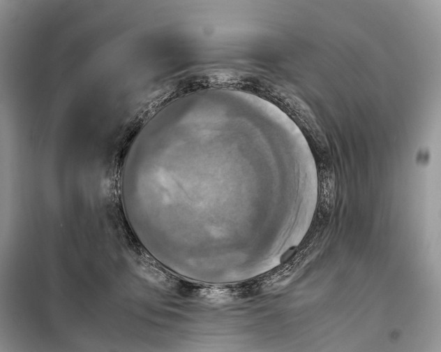 X0000097920419200804111145