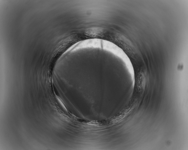 X0000097920420200804111145