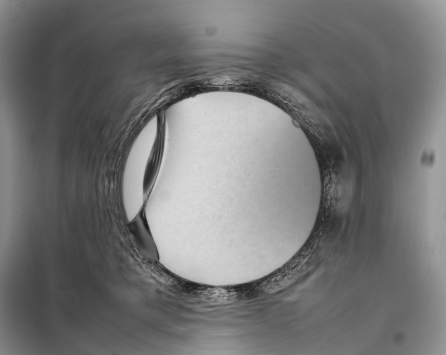 X0000097920421200804111145