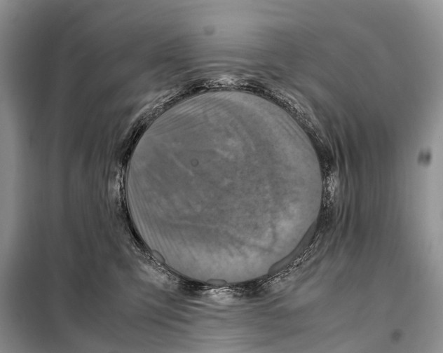 X0000097920423200804111145