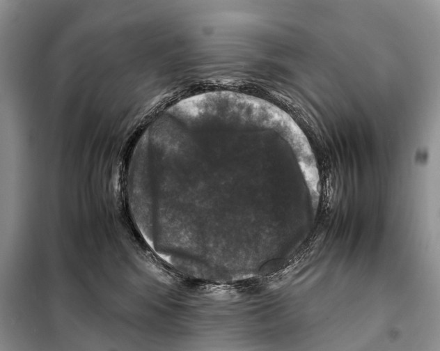 X0000097920424200804111145