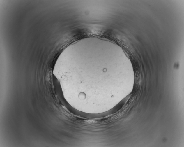 X0000097920425200804111145