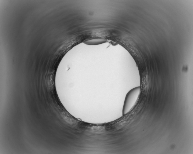 X0000097920426200804111145