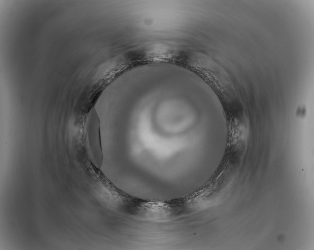 X0000097920427200804111145