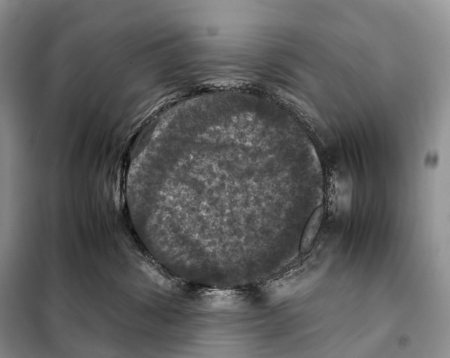 X0000097920428200804111145