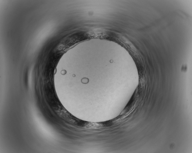 X0000097920429200804111145