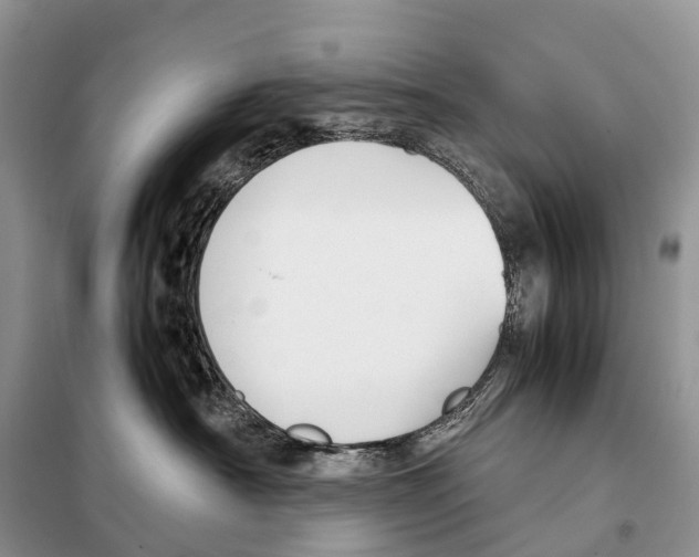 X0000097920430200804111145