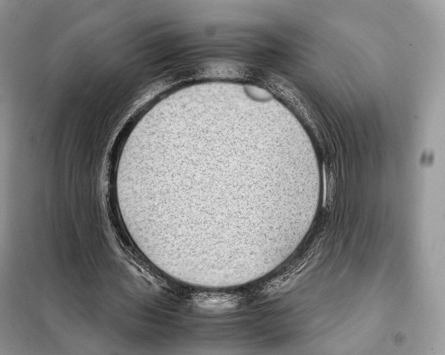 X0000097920435200804111144