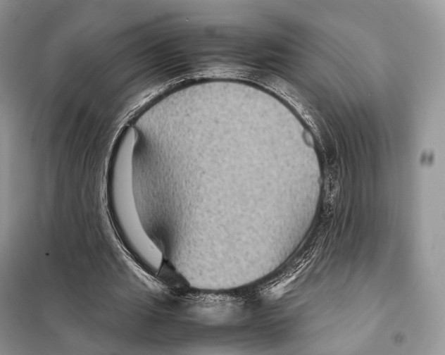 X0000097920437200804111144