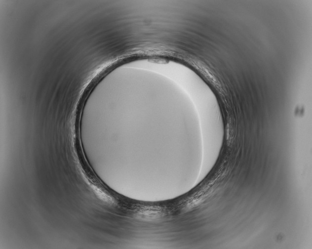 X0000097920438200804111144