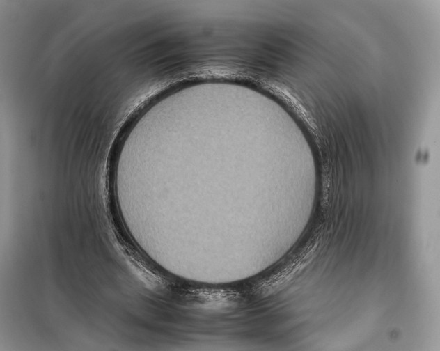 X0000097920439200804111144