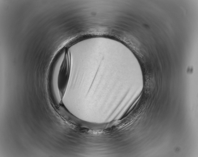 X0000097920440200804111144