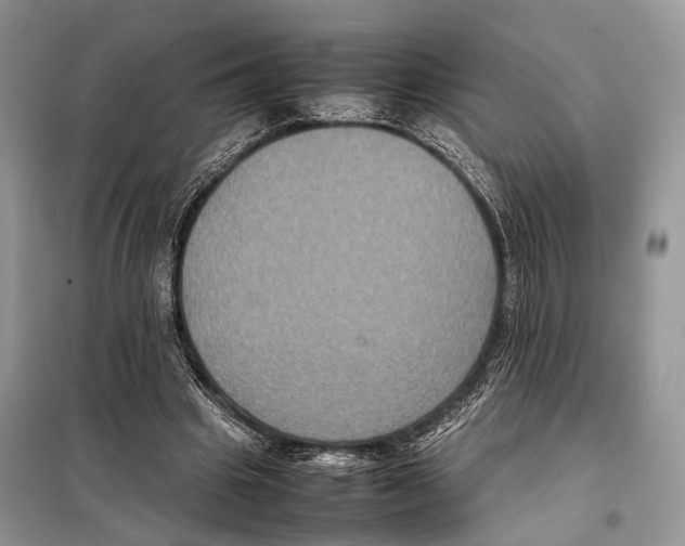 X0000097920441200804111144