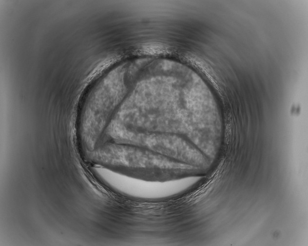 X0000097920443200804111144