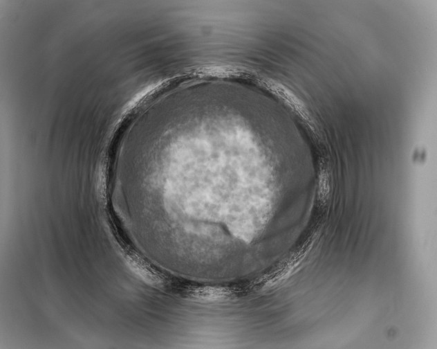 X0000097920444200804111144