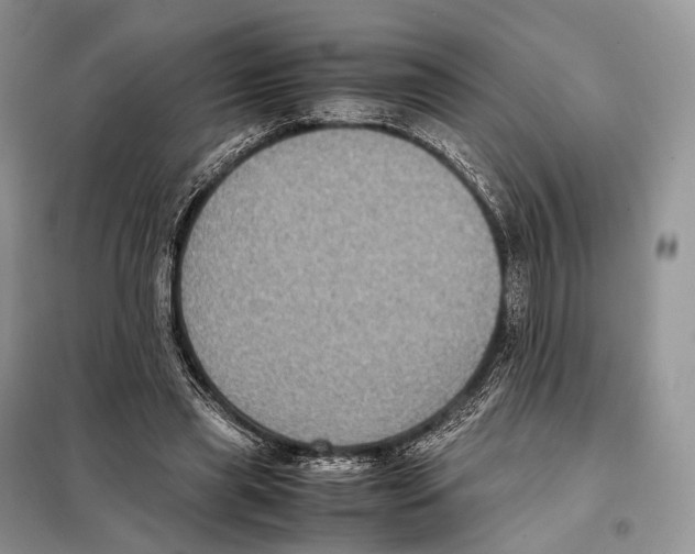 X0000097920445200804111144