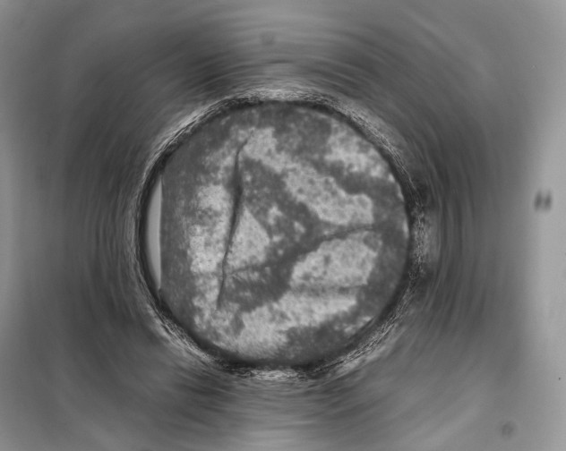 X0000097920446200804111144