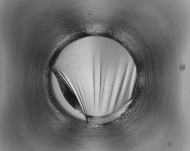 X0000097920448200804111144