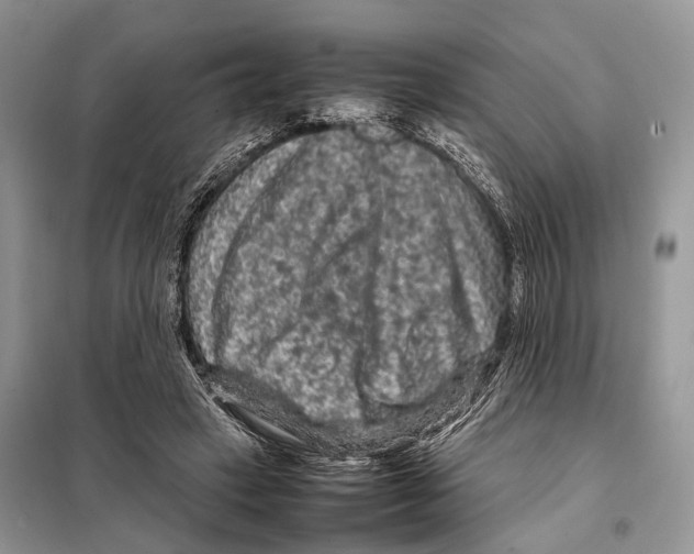 X0000097920449200804111144