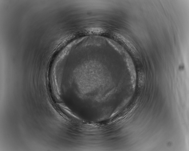 X0000097920451200804111144