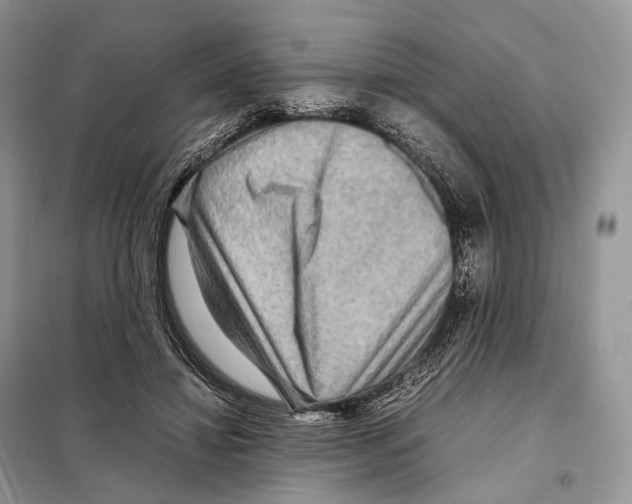 X0000097920452200804111144