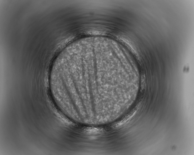 X0000097920453200804111144