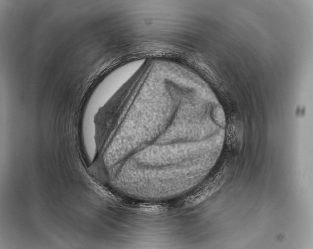 X0000097920454200804111144