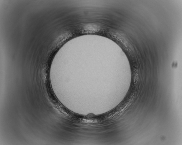 X0000097920455200804111144